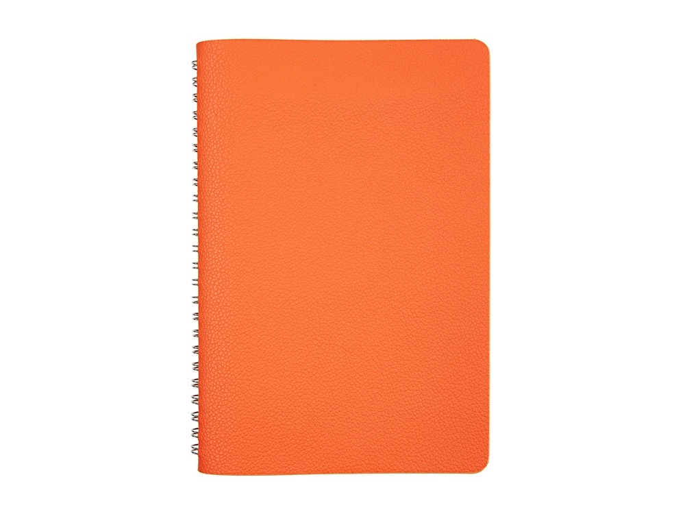 Ежедневник недатированный А5 Alba