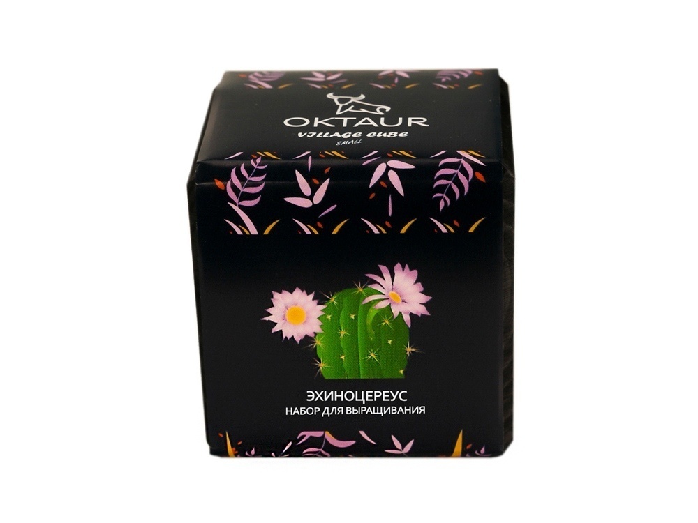 Набор для выращивания Small village cube Эхинокактус Альбинос