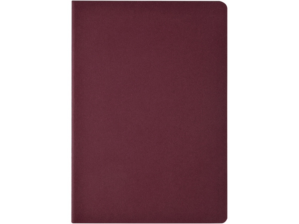 Бизнес-тетрадь А4 Pragmatic