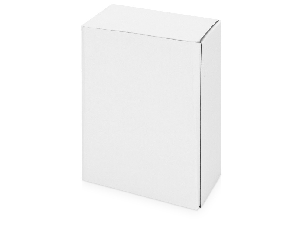 Часы Государственное устройство Российской Федерации