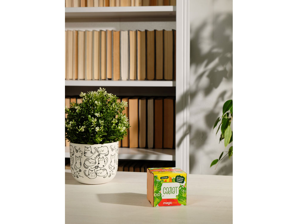 Набор для выращивания Мята