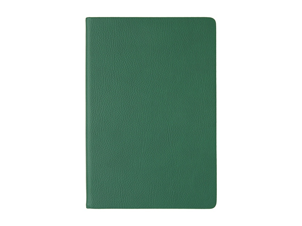 Ежедневник недатированный А5 Megapolis Nappa