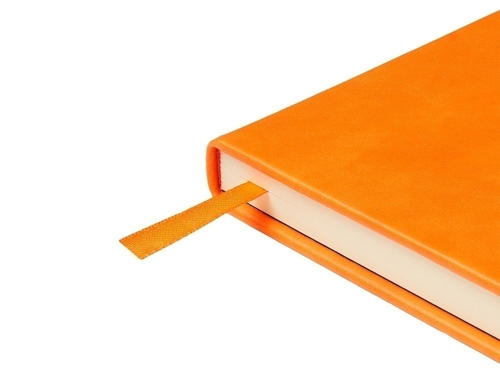 Ежедневник недатированный А5 Premier