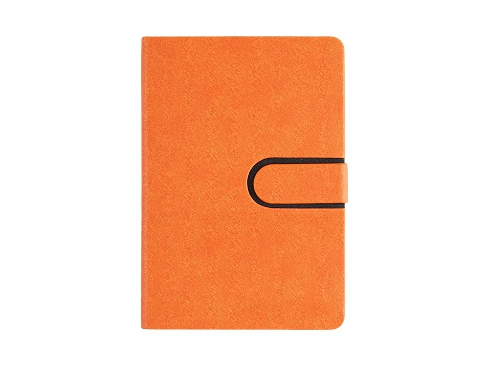 Ежедневник недатированный А5 Status