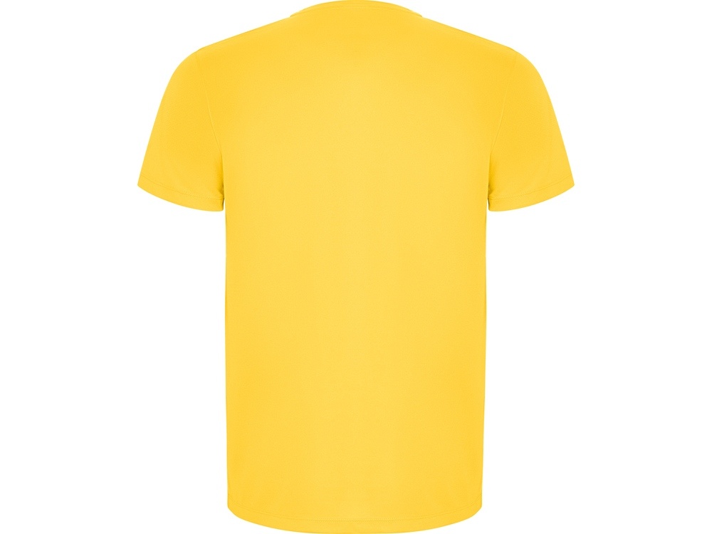 Спортивная футболка Imola мужская