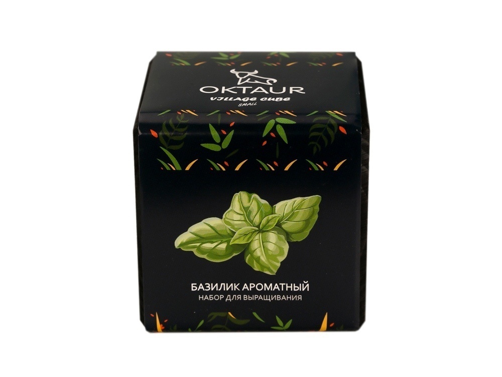 Набор для выращивания Small village cube Эхинокактус Альбинос