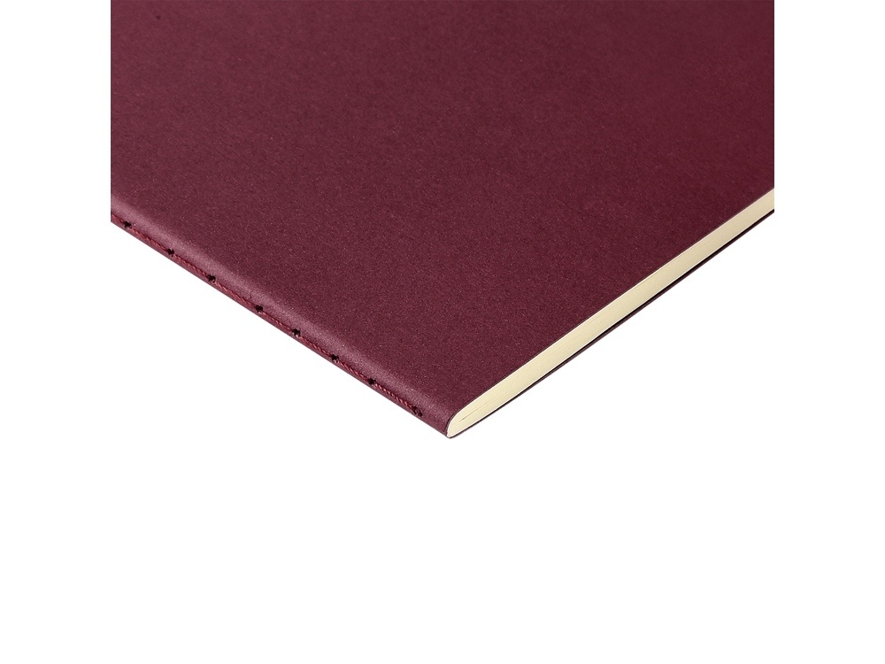 Бизнес тетрадь А5 Pragmatic