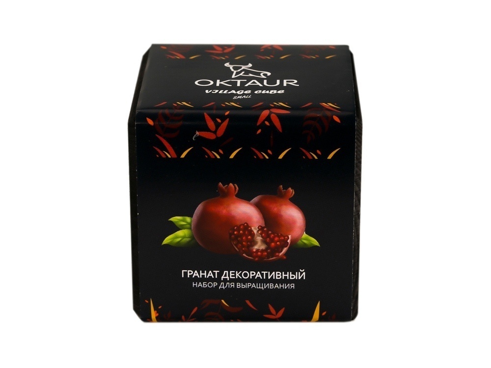 Набор для выращивания Small village cube Эхинокактус Альбинос