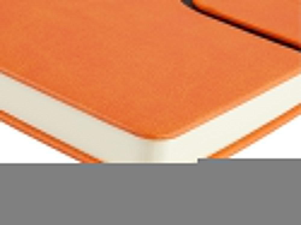 Ежедневник недатированный А5 Status