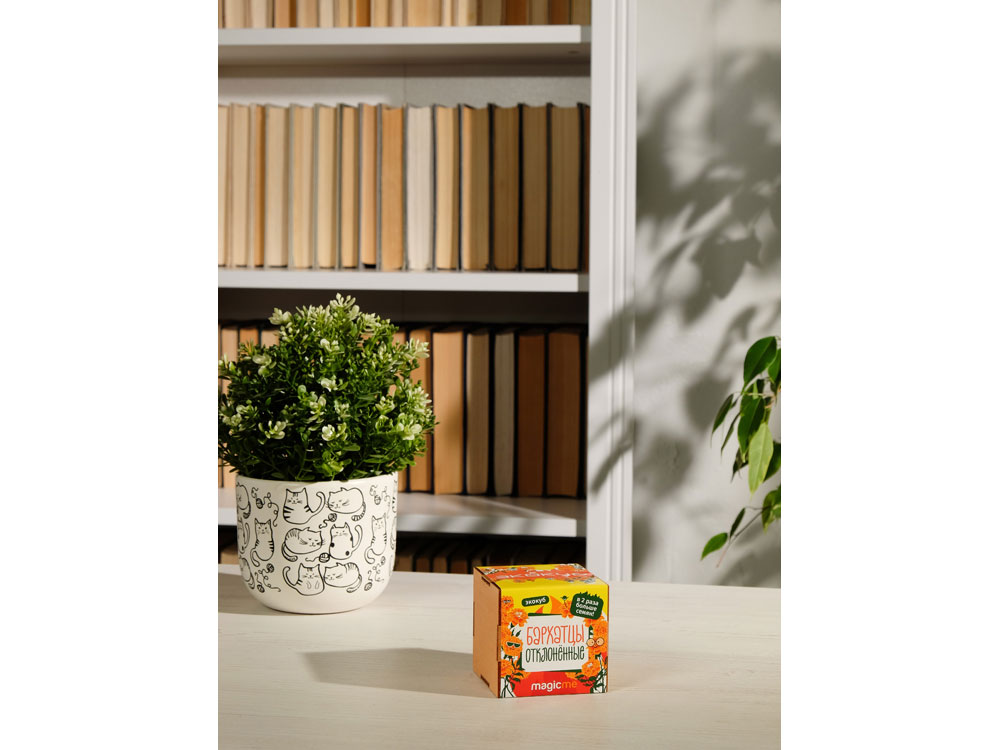 Набор для выращивания Мята