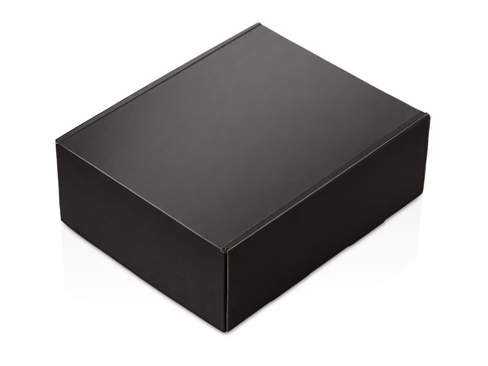 Коробка подарочная Raven, L