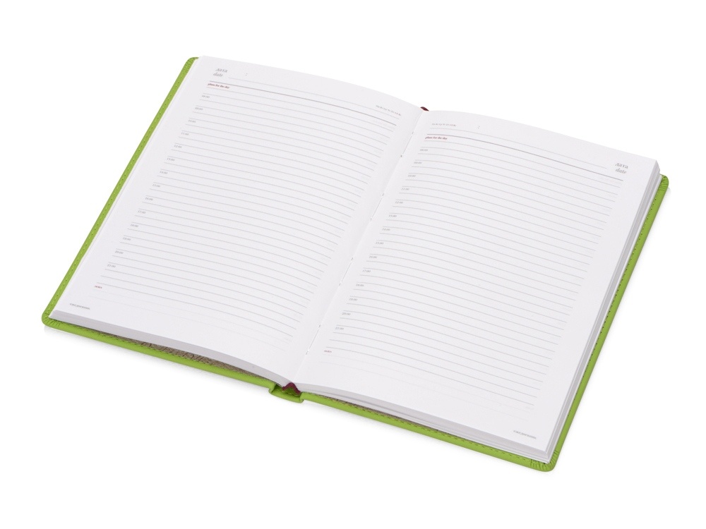 Ежедневник недатированный А4 Velvet