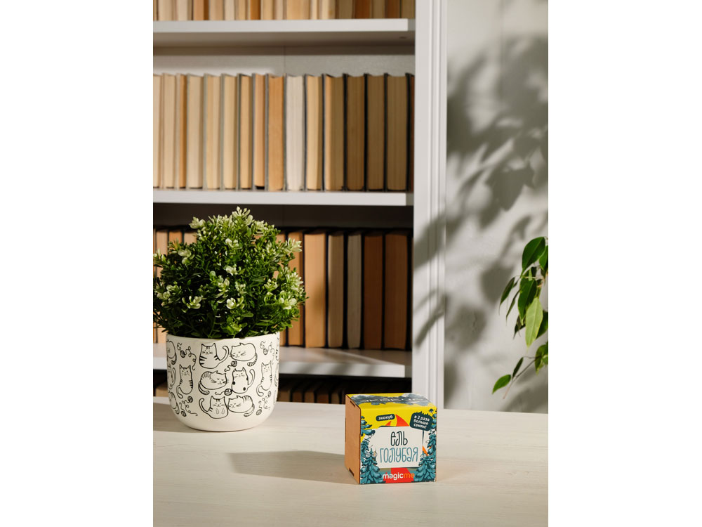 Набор для выращивания Мята