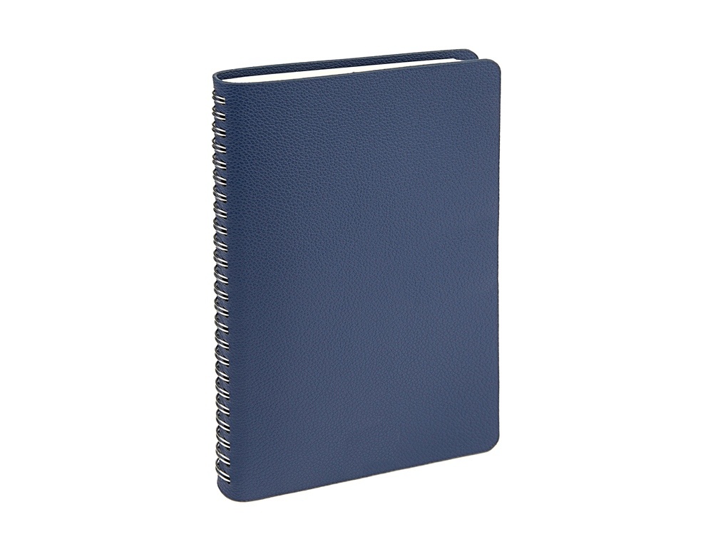 Ежедневник недатированный А5 Alba