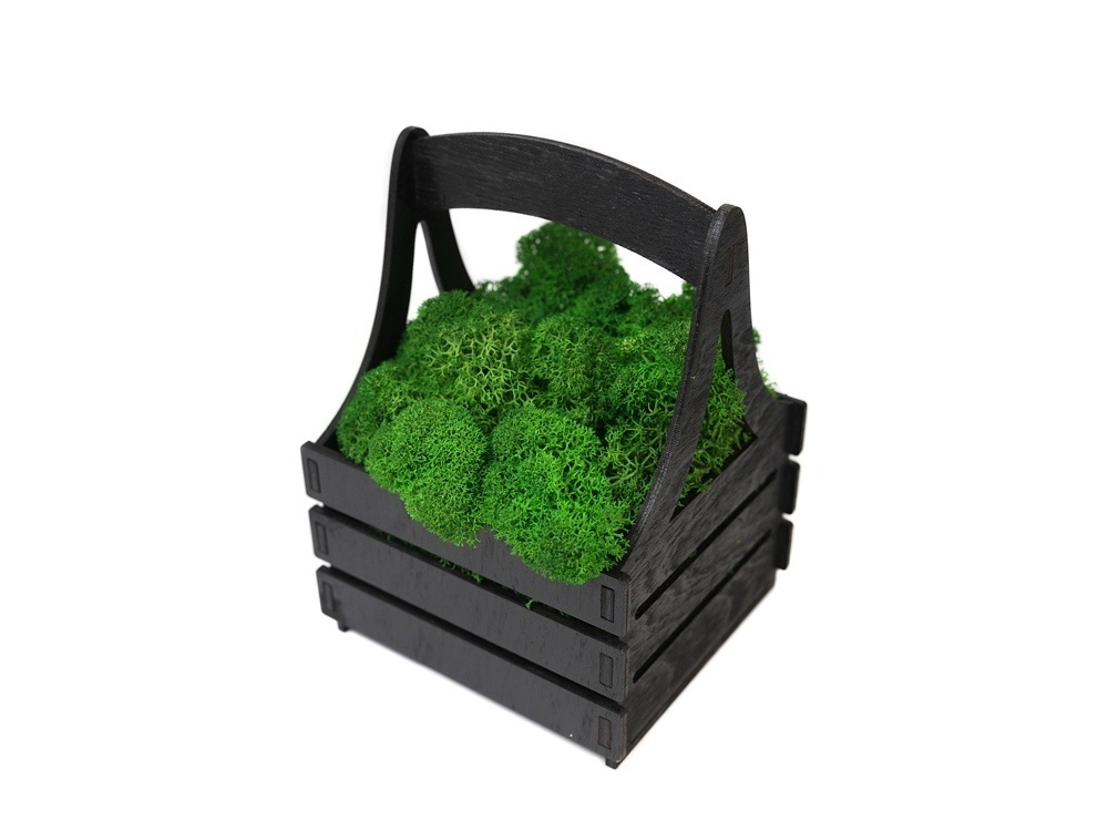 Композиция Корзинка со мхом