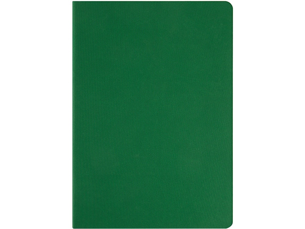 Ежедневник недатированный А5 Megapolis Color Flex