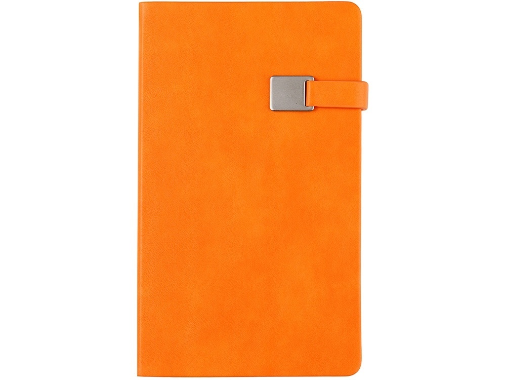 Ежедневник недатированный А5 Premier