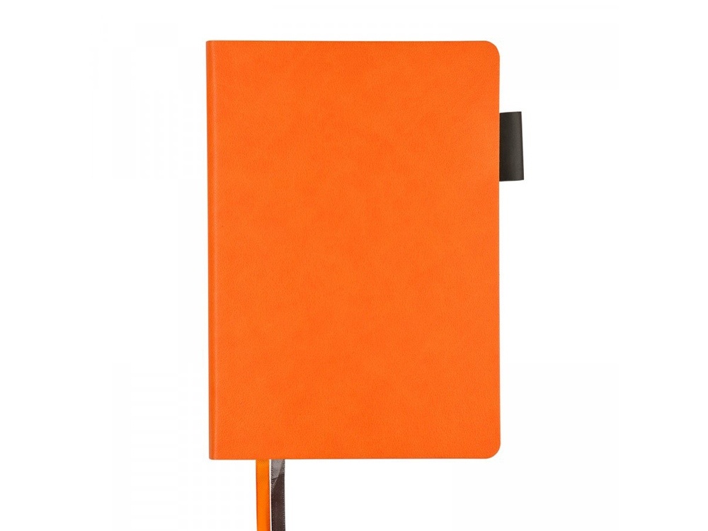 Ежедневник недатированный А5 Boston