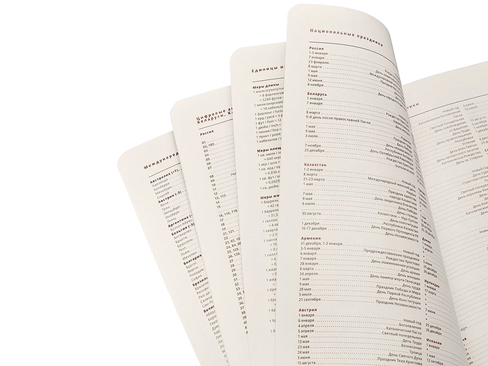 Ежедневник недатированный А5 Parliament