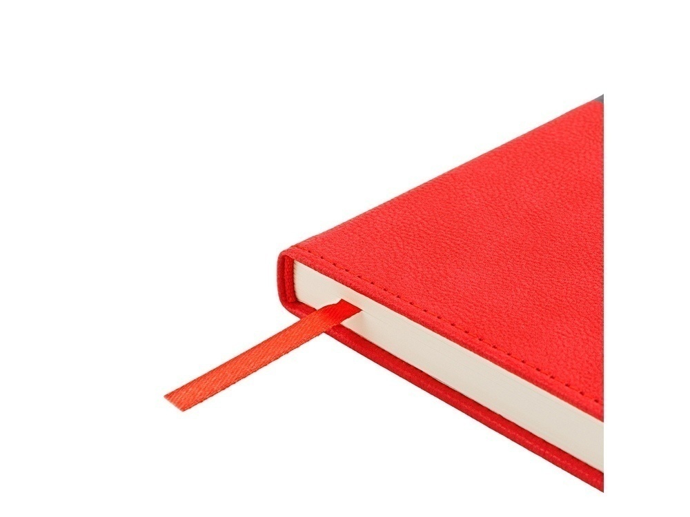 Ежедневник недатированный А5 Lyon