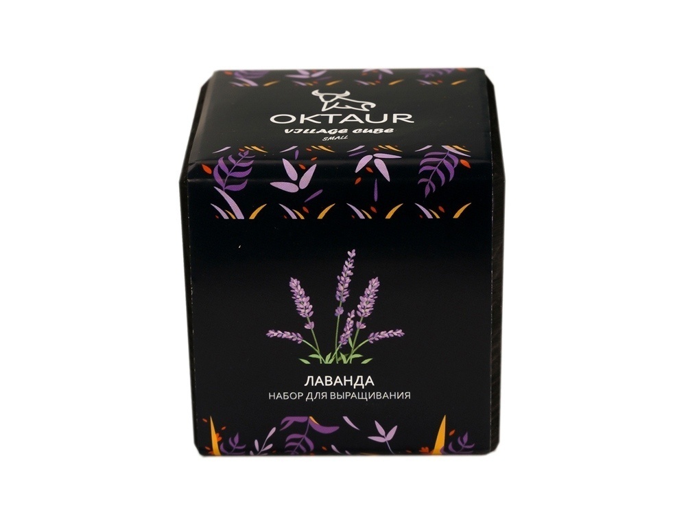 Набор для выращивания Small village cube Эхинокактус Альбинос