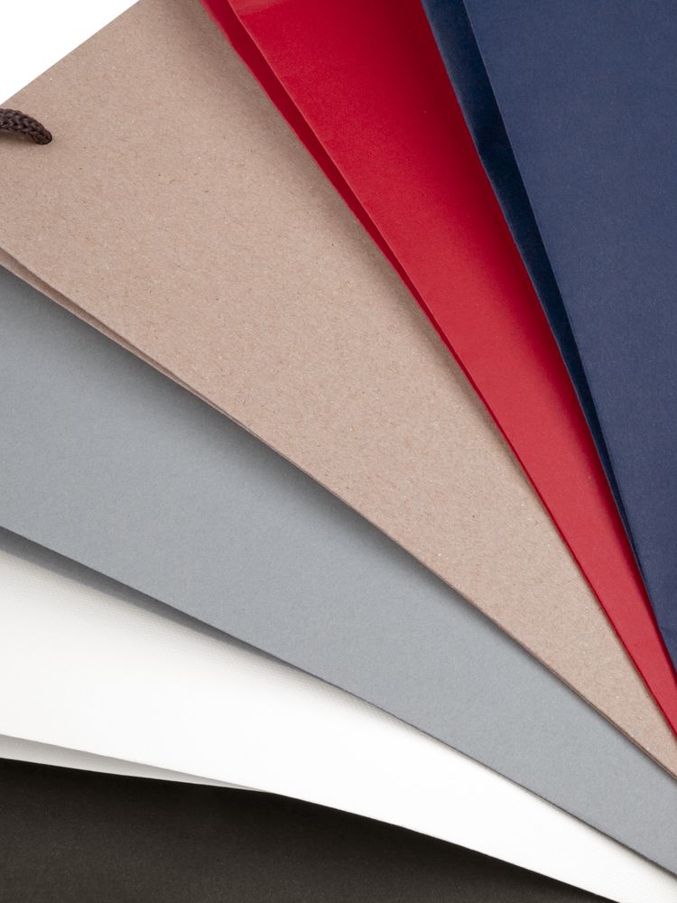 Пакет под бутылку Vindemia