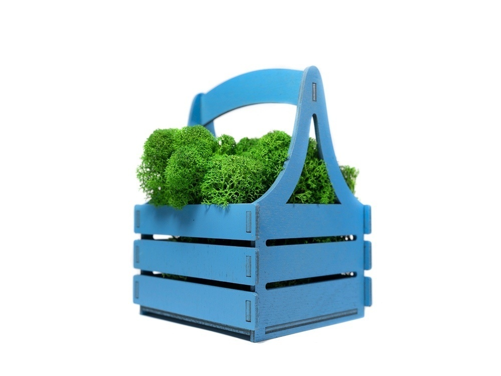 Композиция Корзинка со мхом