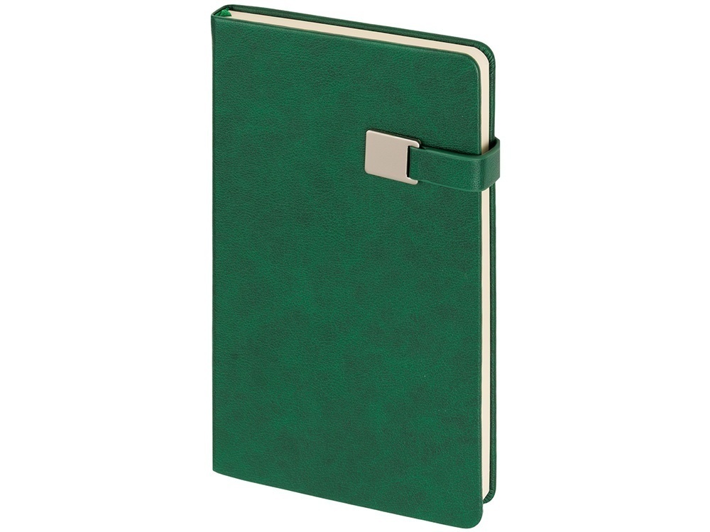 Ежедневник недатированный А5 Premier