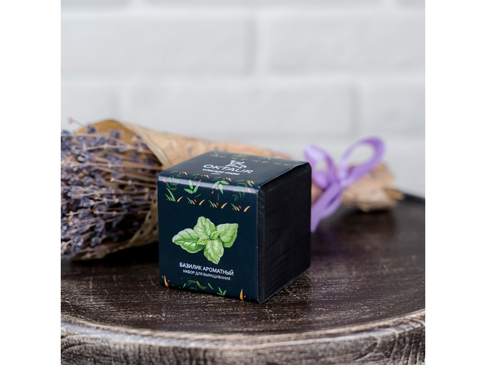 Набор для выращивания Small village cube Эхинокактус Альбинос