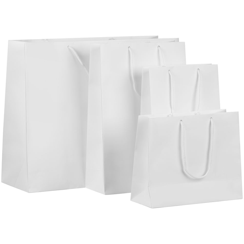 Пакет бумажный с ламинацией Lami M