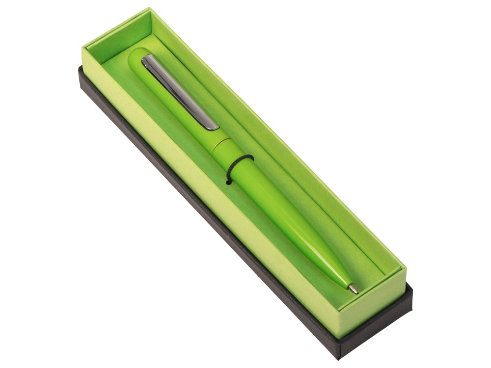 Ручка в футляре Blooming Skate