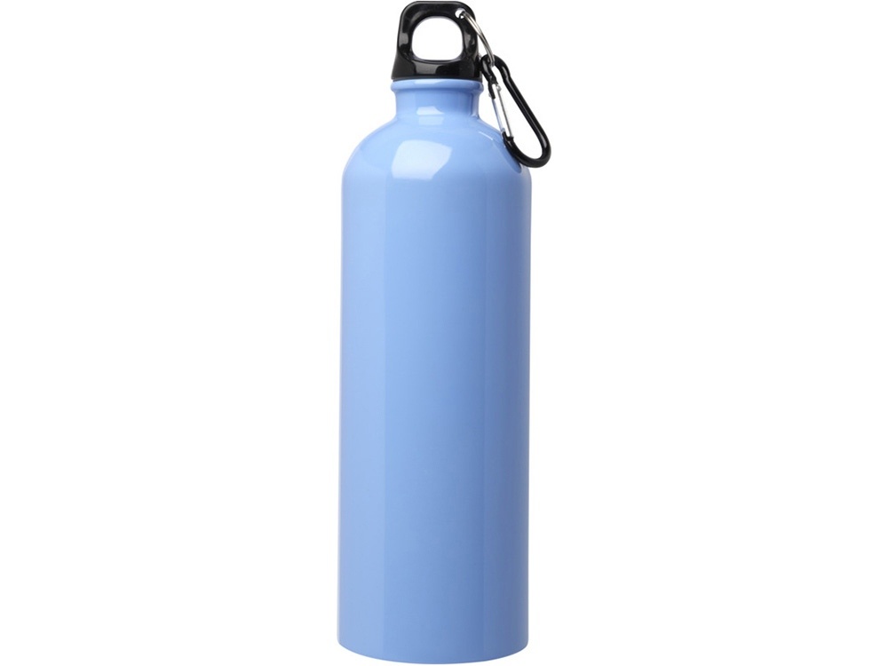 Одностенная бутылка для воды с карабином Oregon, 750 мл