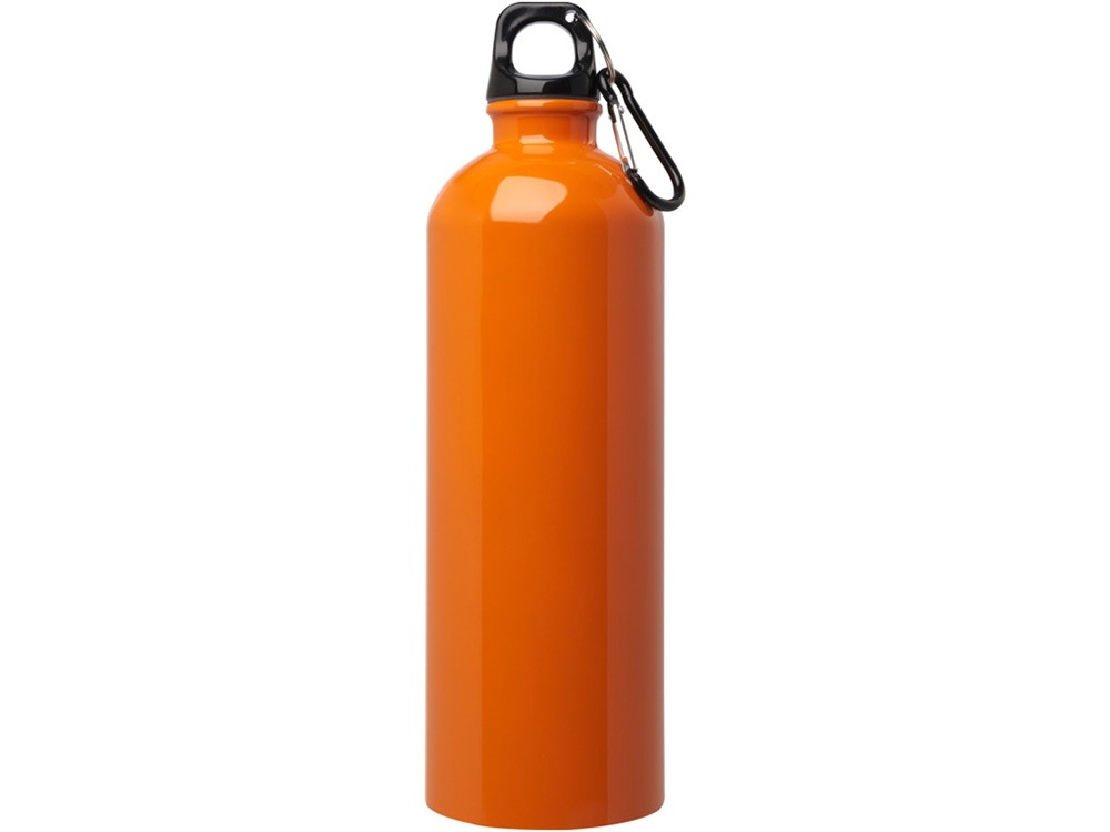 Одностенная бутылка для воды с карабином Oregon, 750 мл