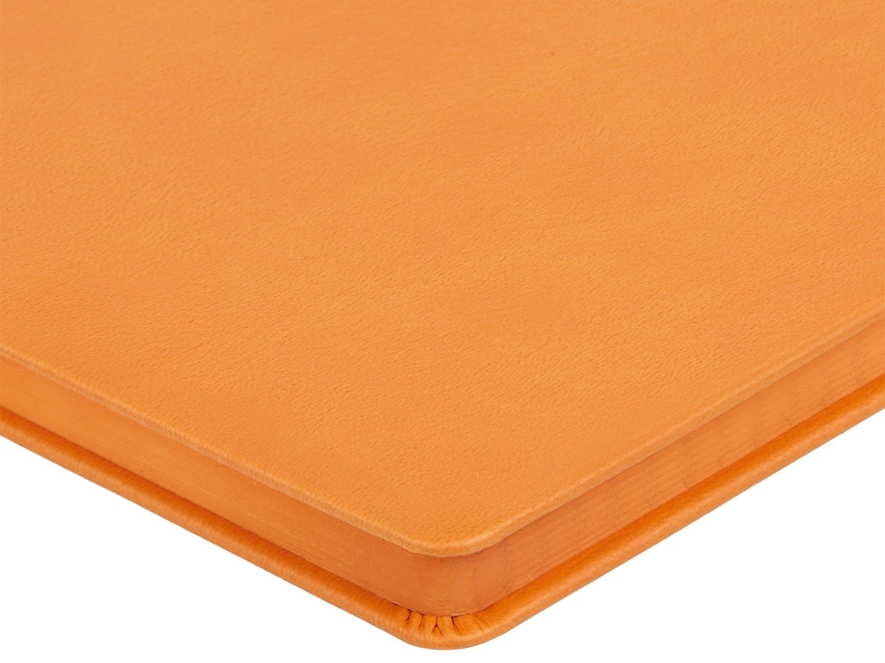 Ежедневник недатированный А5 Megapolis Nappa