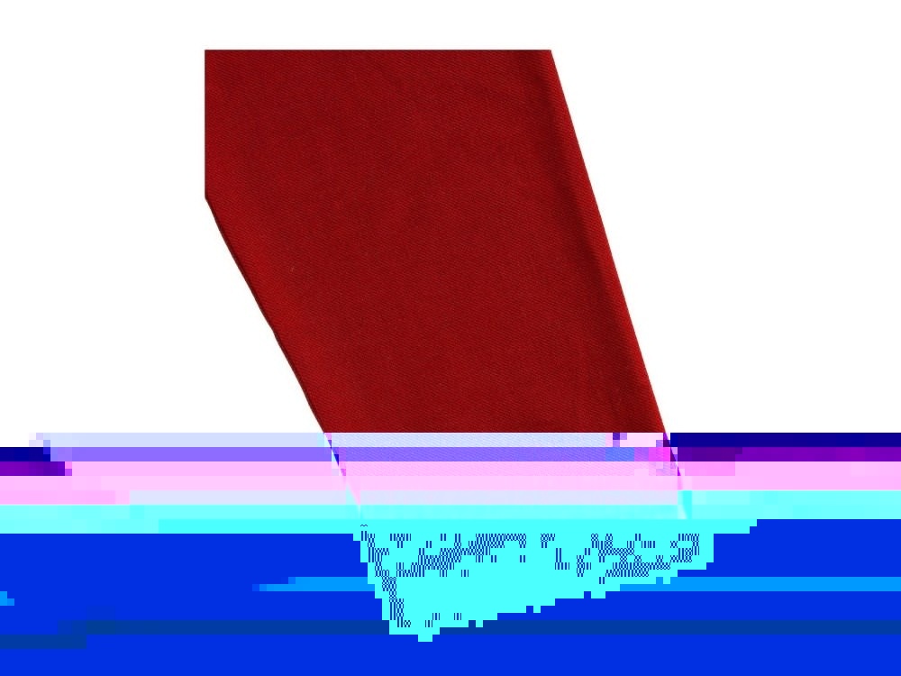 Рубашка поло Oakville мужская с длинным рукавом