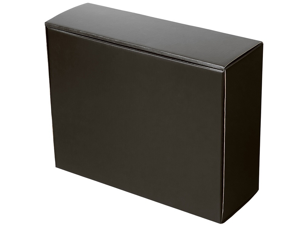 Коробка подарочная Raven, L