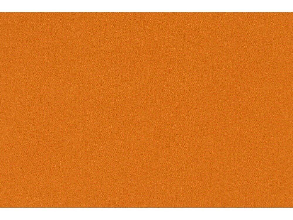 Ежедневник недатированный А5 Megapolis Flex