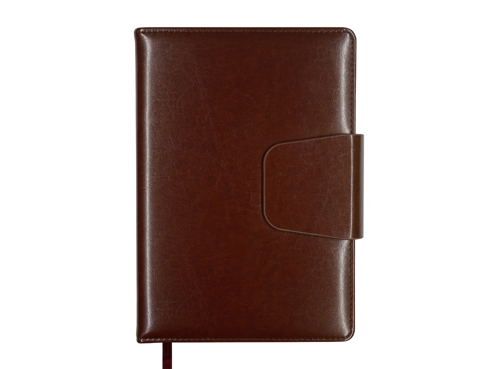 Ежедневник недатированный А5 Prestige