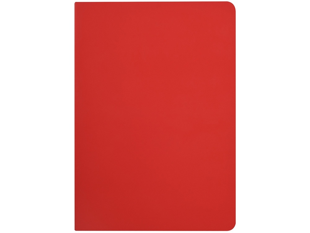 Бизнес-тетрадь А5 Pragmatic Contrast