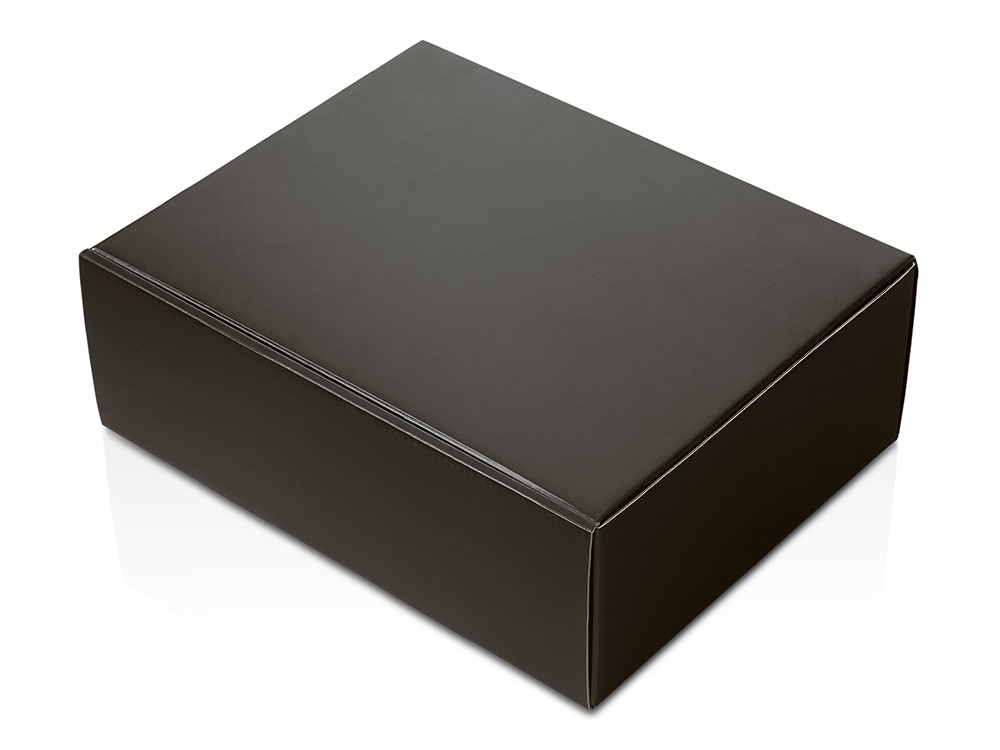 Подарочная коробка с голографическим шубером Aurora, L