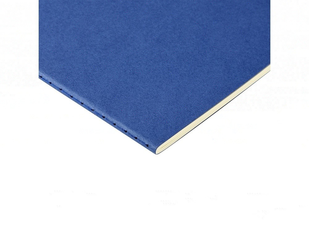 Бизнес тетрадь А5 Pragmatic